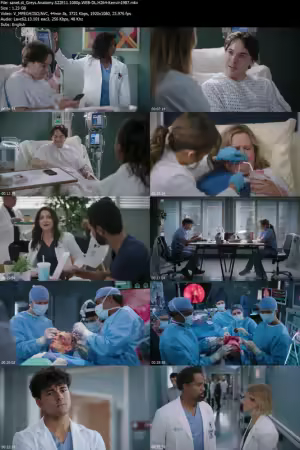 Greys Anatomy S22E11 1080p WEB-DL H264-Kenvin1987