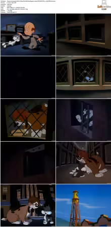 Animaniacs 1993 S01-S05 1080p UPSCALED DD 5.1 x265-EDGE2020