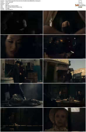Warrior 2019 S01 S03 1080p WEBRip DDP5.1 H265-d3g