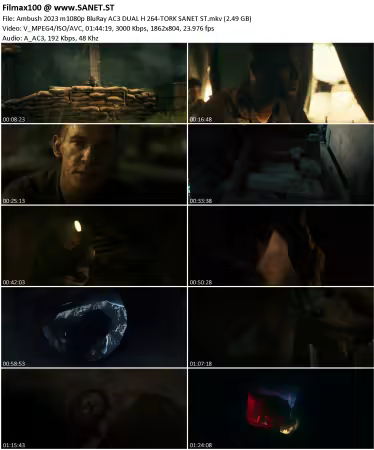 Ambush 2023 m1080p BluRay AC3 DUAL H264-TORK