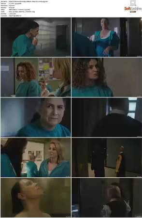 Wentworth S01-S09 1080p WEB h265-d3g