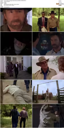 Walker Texas Ranger S01-S09 DVDRip XviD-Mixed