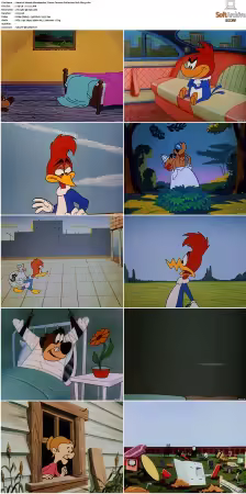 Woody Woodpecker Classic Cartoon Collection S00 Vol1-2 H264-NGP
