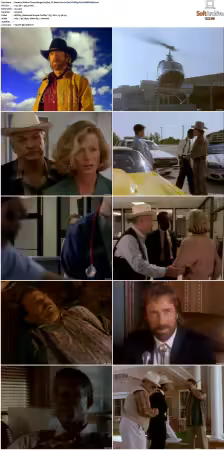 Walker Texas Ranger S01-S09 DVDRip XviD-Mixed
