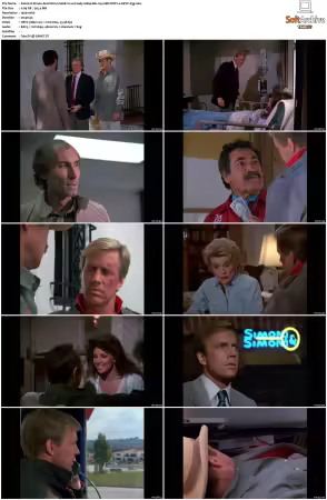 Simon and Simon S01-S08 1080p Blu-ray 10Bit DDP2.0 HEVC-d3g