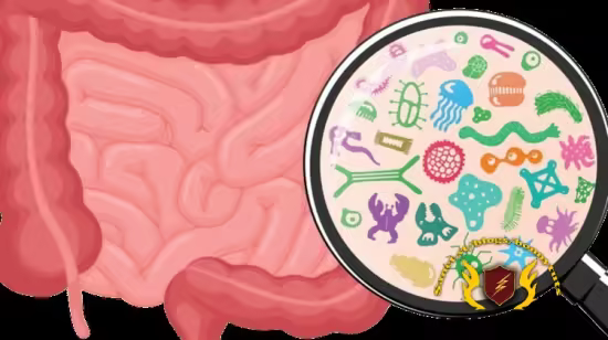 Master Your Gut for Better Digestion, Immunity &amp; Mood
