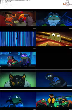 Tales of the Teenage Mutant Ninja Turtles S02 720p x264-AMBER