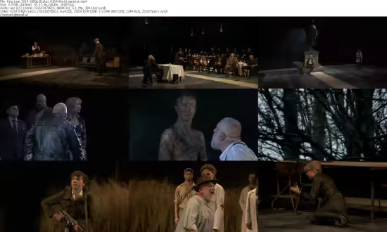 King Lear 2014 1080p BluRay H264-World