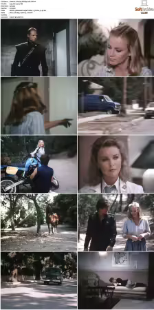 V Boxset 1983-2009 DVDRip XviD-Scene