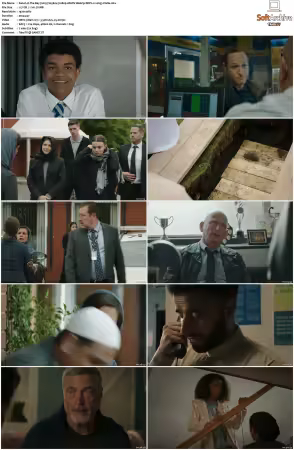 The Bay 2019 S01 S05 1080p AMZN Webrip DDP2.0 x265-Vialle