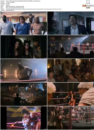 GLOW 2017 S01 S03 1080p DS4K NF Webrip DV HDR DDP5 1 x265-Vialle