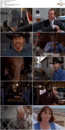 Walker Texas Ranger S01-S09 DVDRip XviD-Mixed