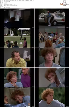 Simon and Simon S01-S08 1080p Blu-ray 10Bit DDP2.0 HEVC-d3g