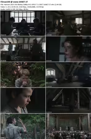 Hamnet 2025 USA BluRay 1080p AV1 OPUS 7.1-CMCT