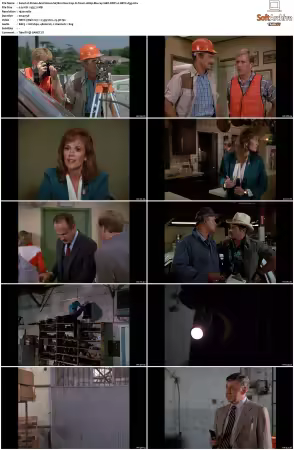 Simon and Simon S01-S08 1080p Blu-ray 10Bit DDP2.0 HEVC-d3g