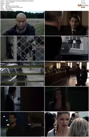 Banshee S01 S04 1080p WEBRip DDP5.1 H265-d3g