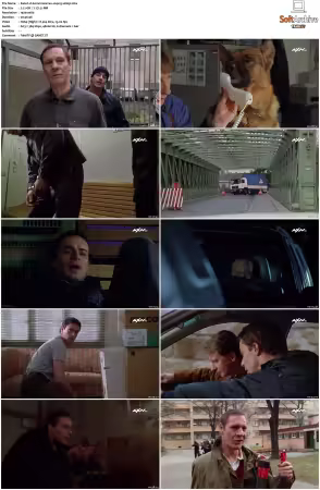 Kommissar Rex S01-S10 German 1080p HDTV x264-OMGtv