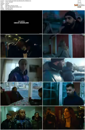Snabba Cash S01 S02 1080p WEB H264 DDP5.1-DERMAGiC