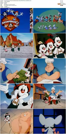 Animaniacs 1993 S01-S05 1080p UPSCALED DD 5.1 x265-EDGE2020