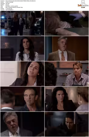 Rizzoli and Isles 2010 S01-S07 1080p NF WEB-DL DDP5.1 AV1-Vialle