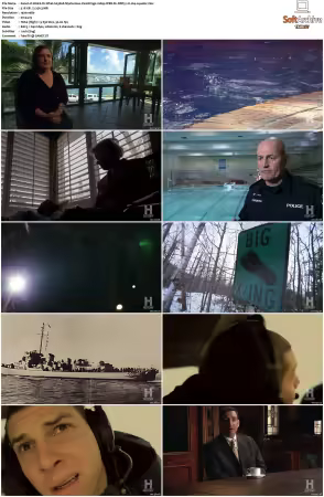 Weird Or What S01 S03 1080p WEB-DL DDP5.1 H264-squalor