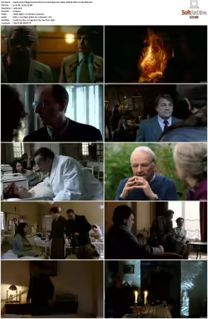 Un Village Francais S01-S07 1080p WEB-DL DD2.0 H264-SbR