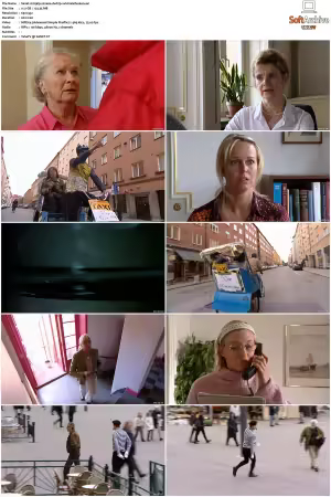 Hjalp S01 S03 SWEDiSH DVDRip XviD-SCC