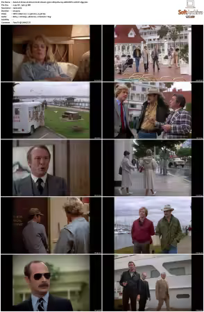 Simon and Simon S01 S08 1080p Blu-ray 10Bit DDP2.0 HEVC-d3g