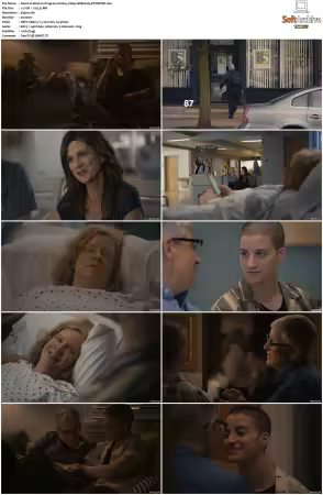 Work in Progress S01 2160p WEB H265-PETRiFiED