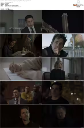 The Sinner 2017 S01 S04 1080p BDRip DDP5.1 x265-Vialle