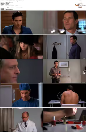 Nip Tuck 2003 S01-S07 720p WEB x264-IC