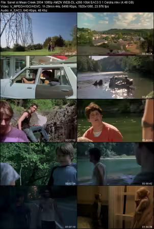 Mean Creek 2004 1080p AMZN WEB-DL x265 10bit EAC3 5.1 Celdra
