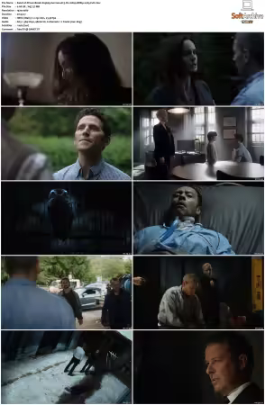 Prison Break S01-S05 German AC3 DL 1080p BDRip x265-FuN