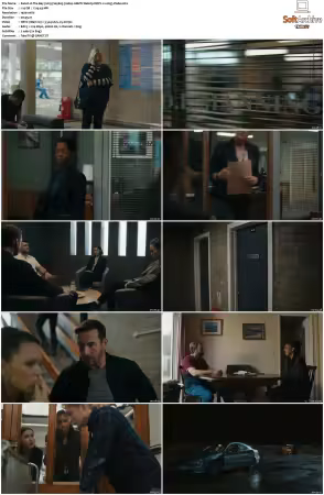 The Bay 2019 S01 S05 1080p AMZN Webrip DDP2.0 x265-Vialle