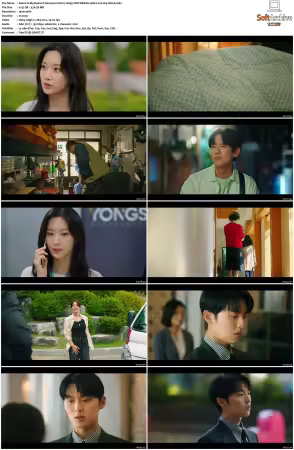 My Dearest Nemesis S01 1080p VIKI WEB-DL AAC2.0 H264-SiGLA