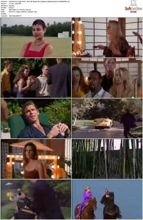 V I P 1998 S01 S04 480p H265 AAC 2CH-MNKYDDL