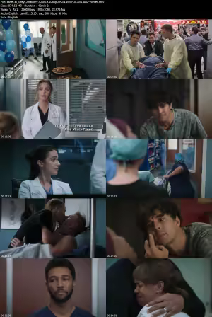 Greys Anatomy S22E14 1080p AMZN WEB-DL AV1 AAC-Winter