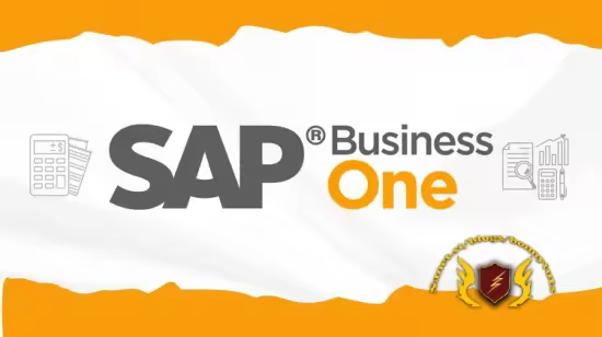 SAP Business One Advance Professional Training 2026