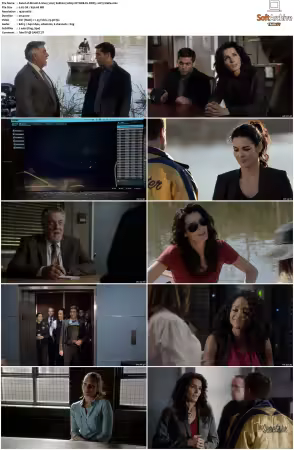 Rizzoli and Isles 2010 S01-S07 1080p NF WEB-DL DDP5.1 AV1-Vialle