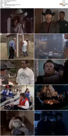 Walker Texas Ranger S01-S09 DVDRip XviD-Mixed