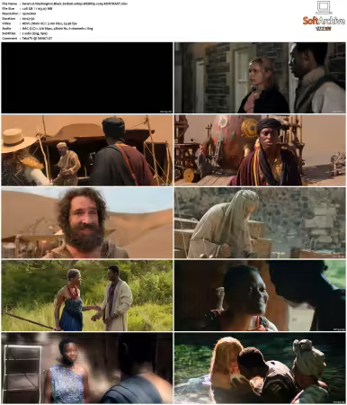 Washington Black S01 1080p WEBRip x265-KONTRAST