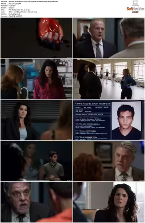 Rizzoli and Isles 2010 S01-S07 1080p NF WEB-DL DDP5.1 AV1-Vialle