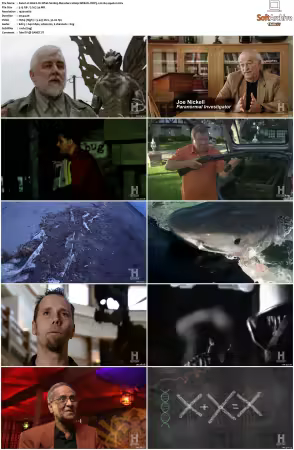 Weird Or What S01 S03 1080p WEB-DL DDP5.1 H264-squalor