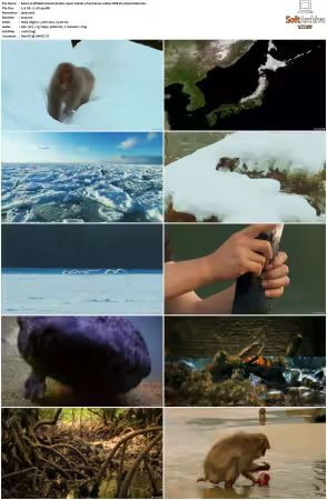 Wildest Islands S01 S02 1080p WEB-DL H264-KUSH