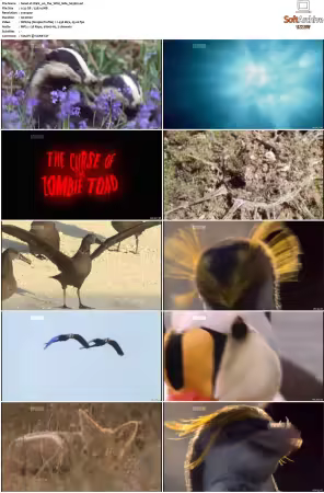 Walk on the Wild Side S01-S03 PDTV XviD-NGp