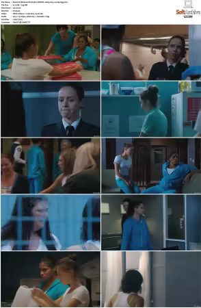 Wentworth S01 S09 1080p WEB h265-d3g