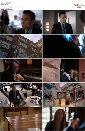 Unforgettable S01-S04 1080p AMZN WEBRip DDP 5.1 x265-edge2020