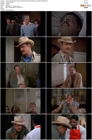 Simon and Simon S01-S08 1080p Blu-ray 10Bit DDP2.0 HEVC-d3g