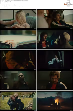 Tschugger S01 S04 GERMAN 1080p WEB H264-Mixed