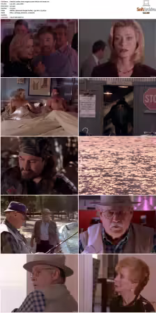 Walker Texas Ranger S01-S09 DVDRip XviD-Mixed